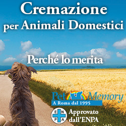 cremazione singola di animali da compagnia