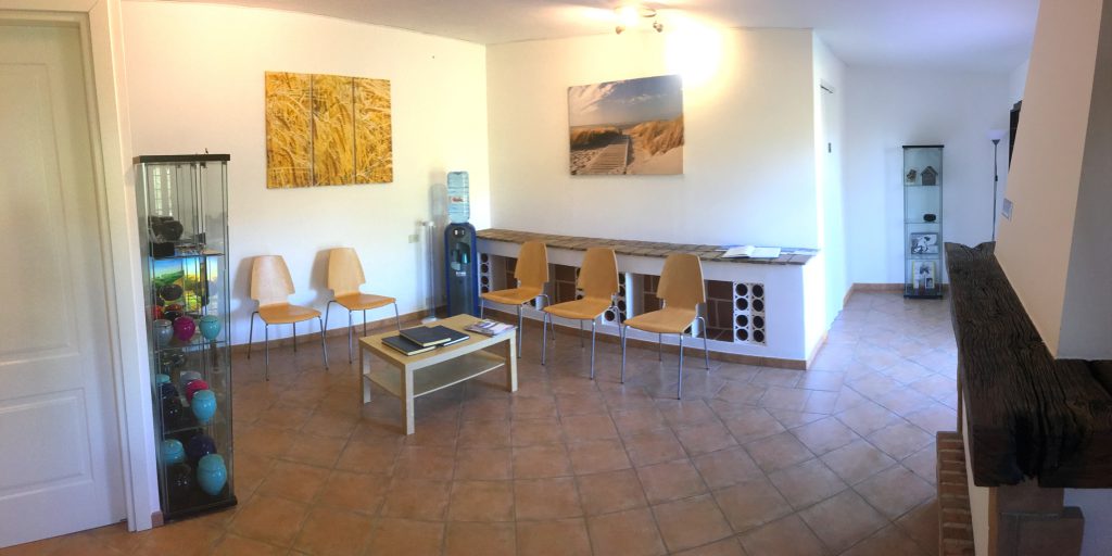 cremazione singola di animali da compagnia